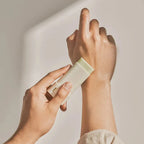 Beauty Of Joseon Matte Sun Stick Mugwort + Camelia SPF 50+ PA++++